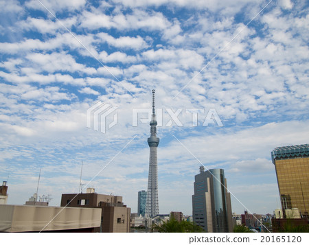 Scaly cloud and Tokyo sky tree 20165120