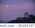 Hirado Castle and the Full Moon 20165197