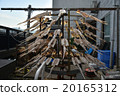 Squid's sun-dried squid 20165312