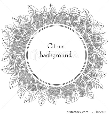 Vintage citrus background isolated on white. 20165905