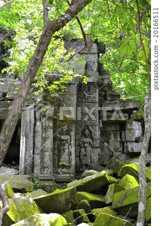 柬埔寨本 20166511