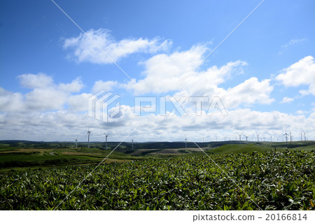 Sōya Hills 20166814