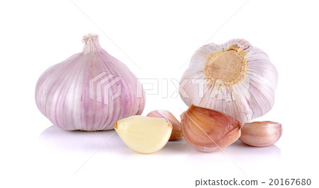 garlic isolated on the white background 20167680