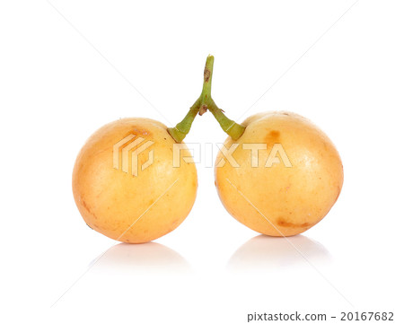 Mafai or Baccaurea ramiflora isolated on white  20167682