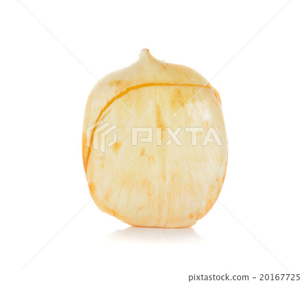 Asian Palmyra palm, Toddy palm Sugar palm isolated Asian Palmyra palm, Toddy palm Sugar palm isolated 20167725