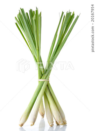 Lemon grass isolated on the white background 20167954