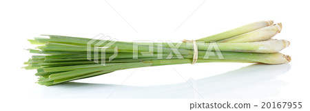Lemon grass isolated on the white background 20167955