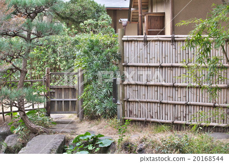 Japanese garden 20168544