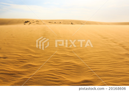 Mui Ne sand dune 20168606