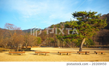 Japanese Zen Garden Japanese Zen Garden 20169450