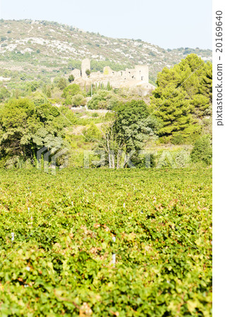 castle in Durban-Corbiere with vineyards, France 20169640