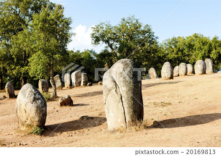 Cromlech of Almendres near Evora,Alentejo,Portugal 20169813