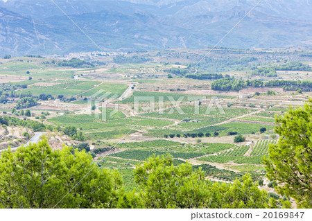 landscape at Coll del Moro, Catalonia, Spain 20169847