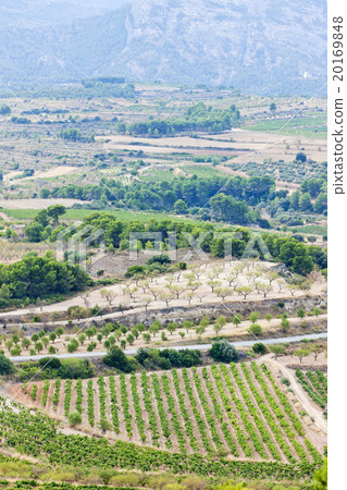 landscape at Coll del Moro, Catalonia, Spain 20169848