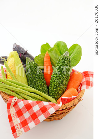 Fresh vegetables Fresh vegetables 20170036