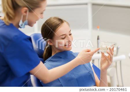 dentist showing jaw layout to happy girl patient dentist showing jaw layout to happy girl patient 20170461