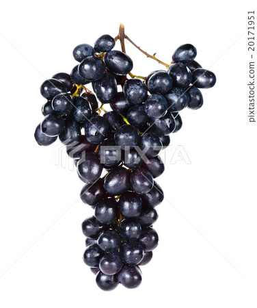 Black grapes isolated on over white background 20171951