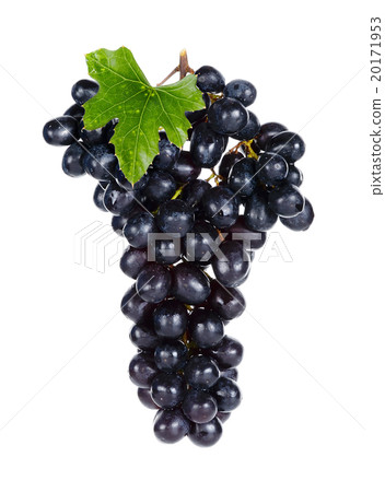 Fresh Grape isolated on the white back ground 20171953