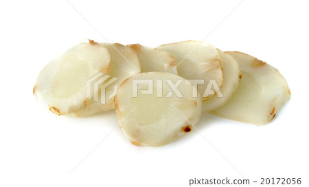 Slice young galangal isolated on the white  20172056