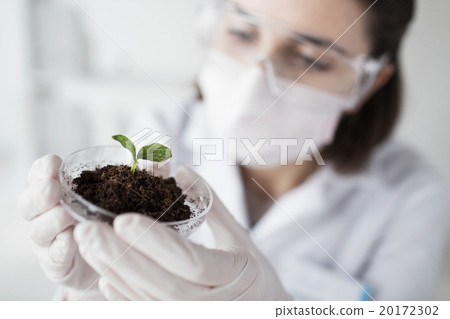 close up of scientist with plant and soil in lab 20172302