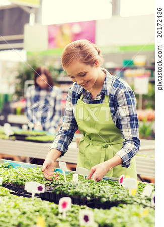 happy woman taking care of seedling in greenhouse happy woman taking care of seedling in greenhouse 20172486