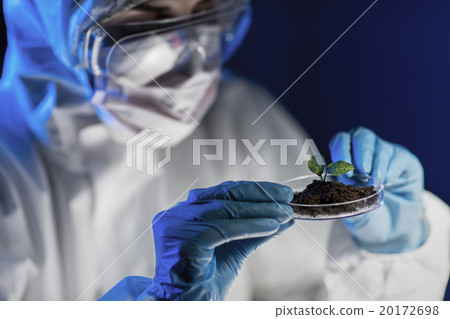 close up of scientist with plant and soil in lab 20172698