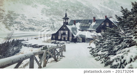 Winter snowy background 20173204