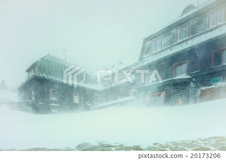 Winter snowy background Winter snowy background 20173206