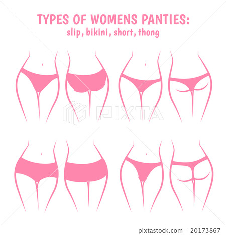 underpants views front and rear underpants views front and rear 20173867