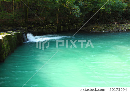 Tatolabuchibuchi 20173994