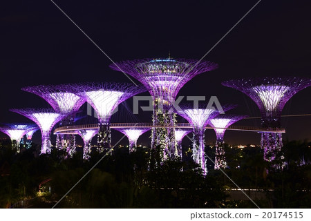 Night view of Singapore Garden Visor Bay 1 20174515