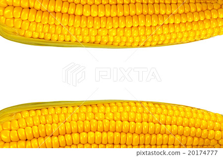 yellow corn grain isolated on white background 20174777