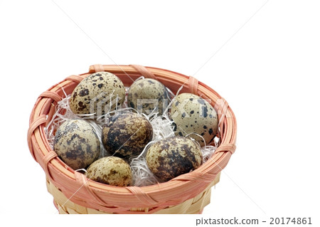 Quail eggs 20174861