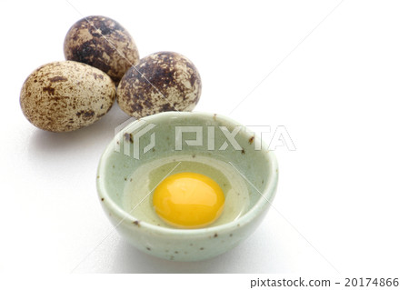 Quail eggs 20174866