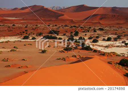 Namib desert 20174898