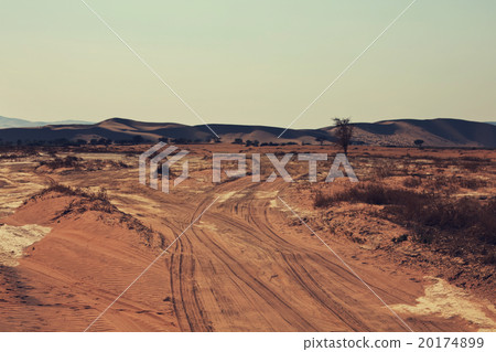 Namib desert 20174899