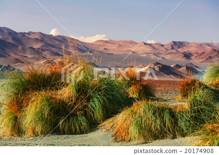 Northern Argentina Northern Argentina 20174908
