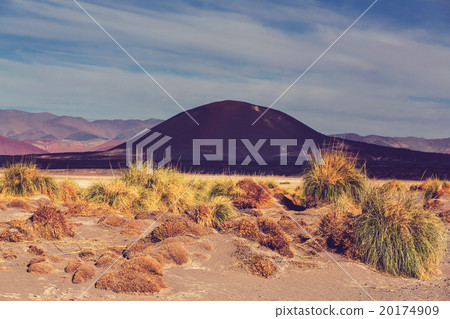 Northern Argentina Northern Argentina 20174909