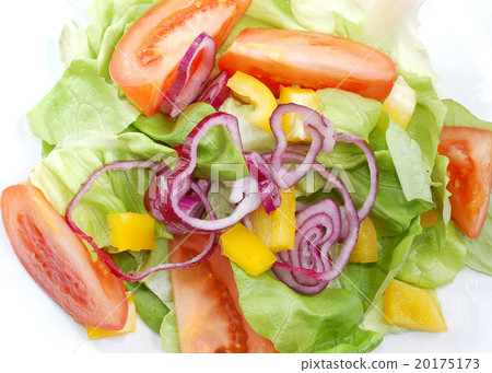 Salad Salad 20175173