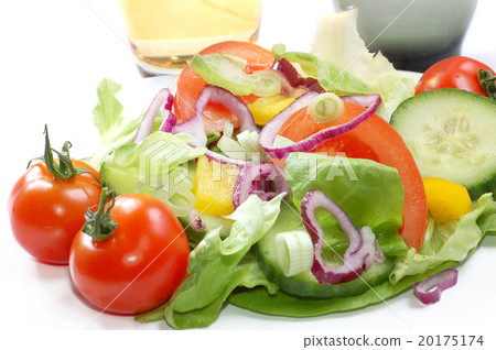 Salad Salad 20175174