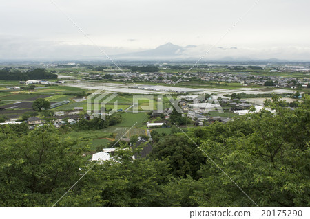 繡球花公園 20175290