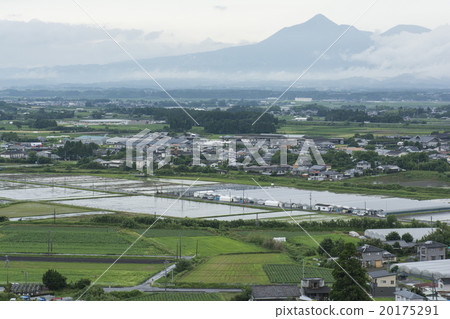 繡球花公園 20175291