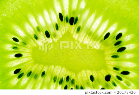 center of kiwi slice center of kiwi slice 20175426