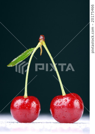 Two cherries 20175466
