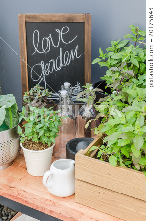 green plants and vegetable with garden tools 20175643