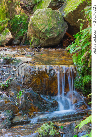Little waterfall in forest 20176225