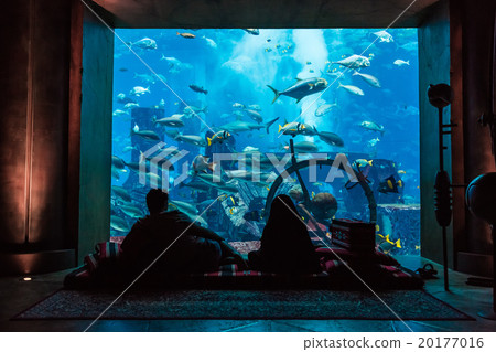 Huge aquarium in a hotel Atlantis in Dubai  20177016