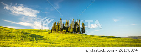 Tuscany at spring 20178374