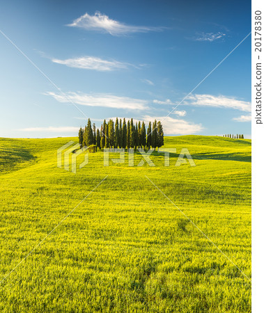 Tuscany at spring 20178380