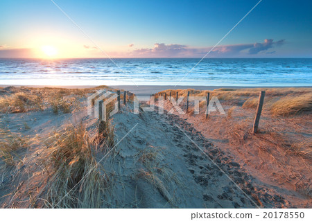 sunshine over the sand path to North sea coast 20178550